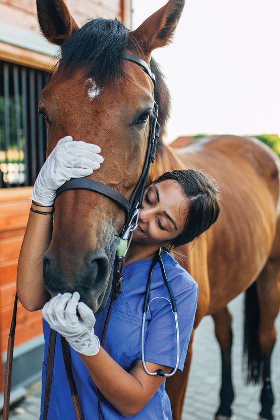 Preguntas Frecuentes - Empleo veterinario en Ecuador